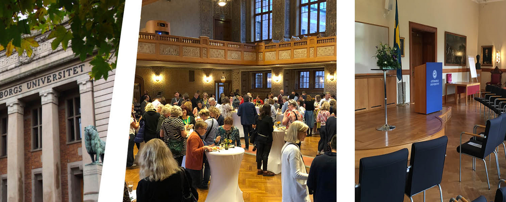Bild på universitetets huvudbyggnad i Vasaparken