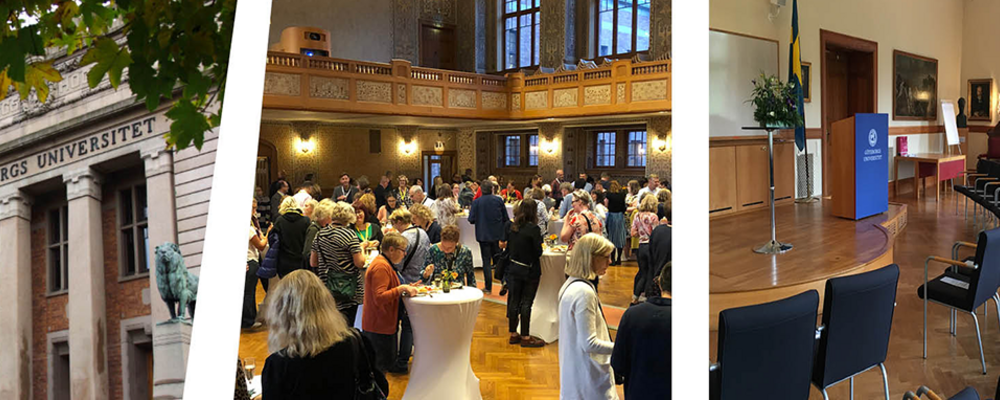 Bild på universitetets huvudbyggnad i Vasaparken